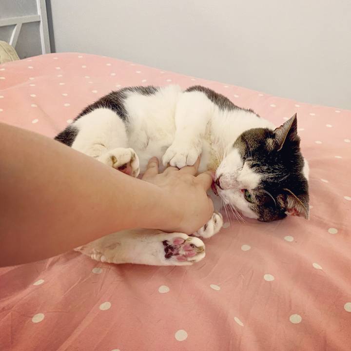 5131539b d6aa 47f3 af15 f0513ac228c4 1589696933383