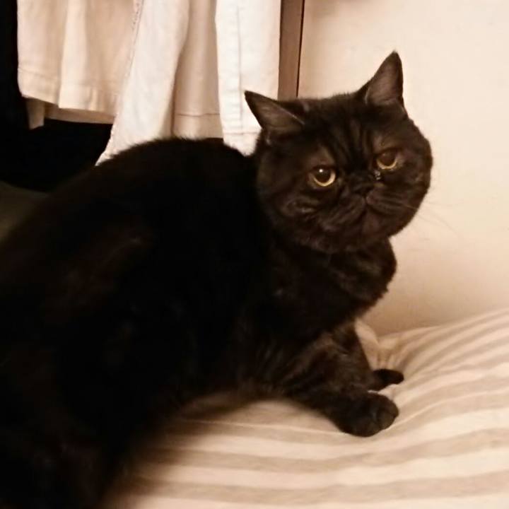 513164e7 5deb 4a8d a49f 7b2f8154520e 1510268326970