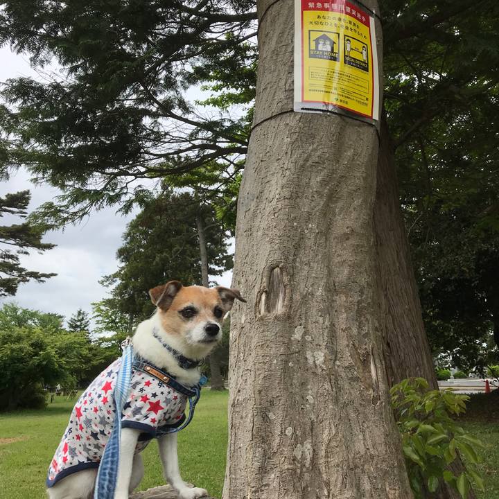 51316b19 91bf 4eaa 9cf9 fc60a6579645 1588994417852