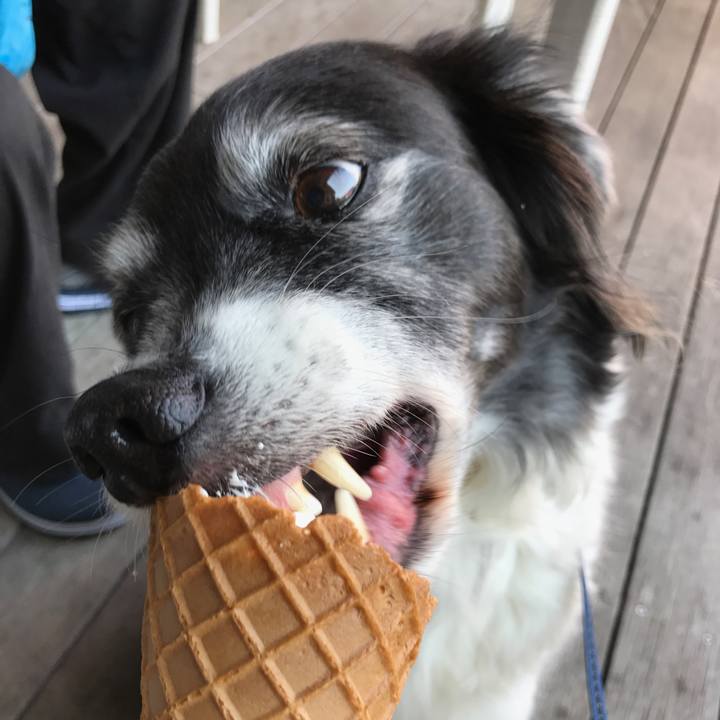 5131a9f3 01b2 4433 a17d c7b4a83d5406 1526025525145