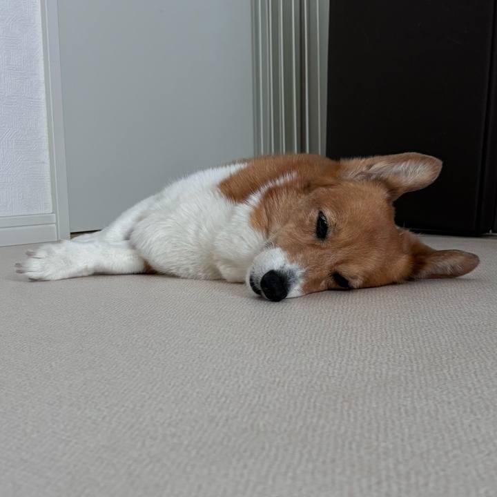 5131c18a 1bfb 4352 b495 fb9355108d03 1753251541607