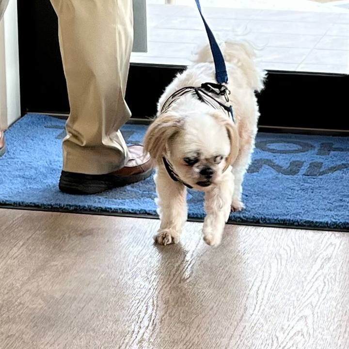 5131c3d7 2cd4 40ea bfa3 7448bf7686b4 1656156087050