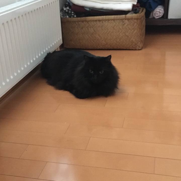 513215aa 05ca 44de b676 0d4d6194d115 1546223065424