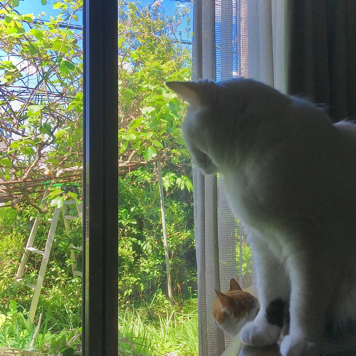 51322edf 6cc7 4940 a313 9f481fd73c17 1620633530293