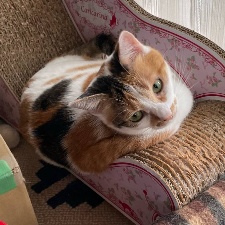 51326716 4a65 46b8 91fc 32bcac8e001e 1695252622860