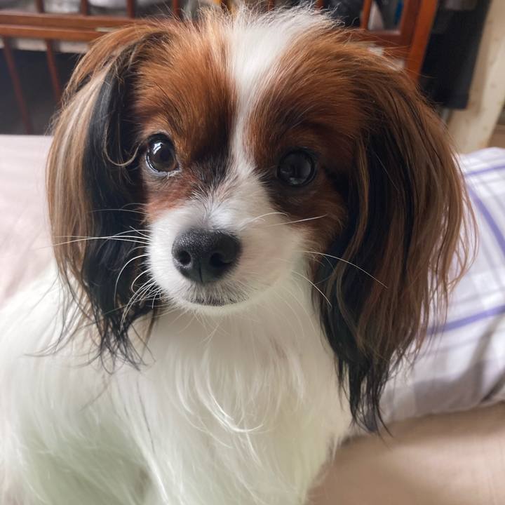 51329b01 9ef4 4dc8 ba01 123e7d520e86 1634343721767