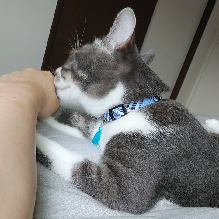 5132bb57 7001 4c14 b2ae 0f97319e0d08 1595900124418