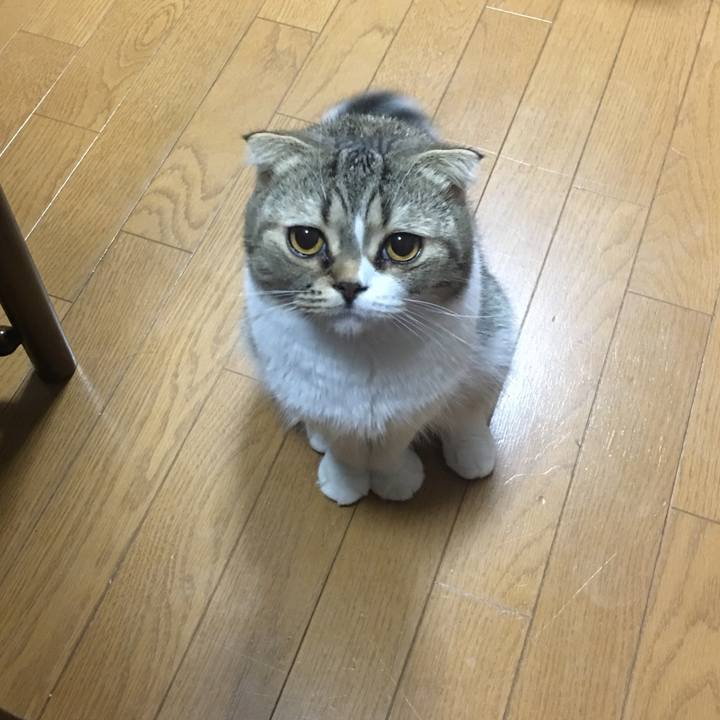 5132f246 e8ff 418b 9e20 6290cbad0ca5 1535816107369