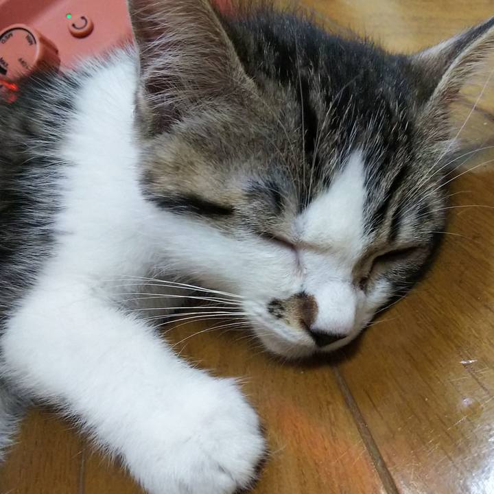 51331843 ff9c 4031 b295 d37749e2f405 1607001106312