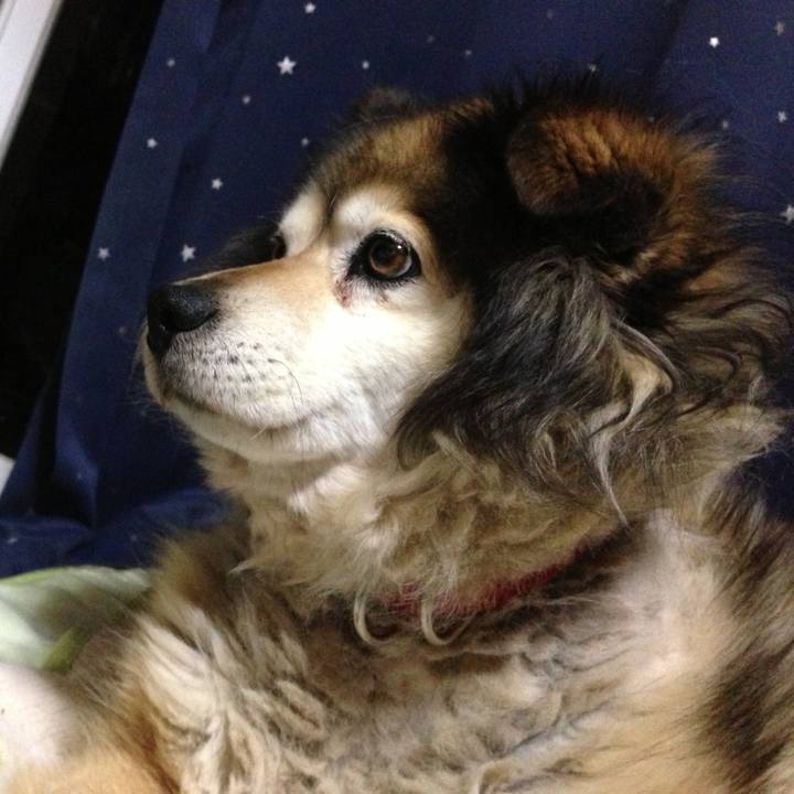 51334660 e2d3 4662 8bd2 2e6ed2ada047 1566668919892