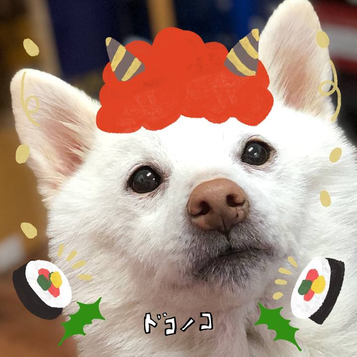 51338741 be5a 4a8d b503 c952fecd67e9 1706968571768