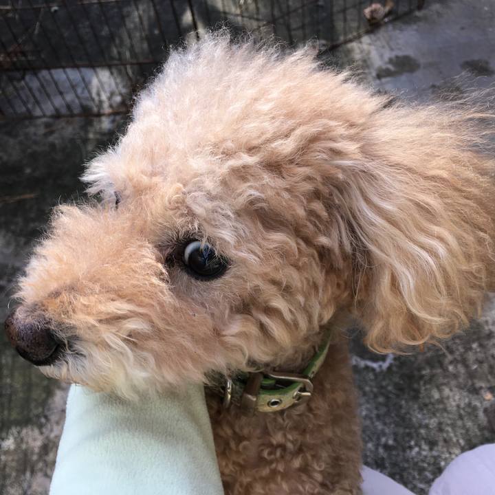 51338b66 74a9 480e ac00 ff476bf51327 1574487149602