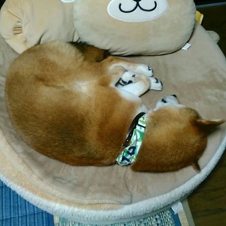 5133bc0d c13b 4668 b131 eb8b90be0999 1559395710532