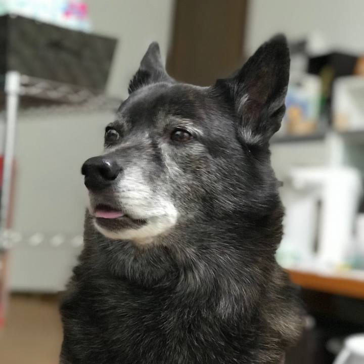 5133c6cb d3e6 4ab5 9123 6ef9ba1b7f70 1548943437569