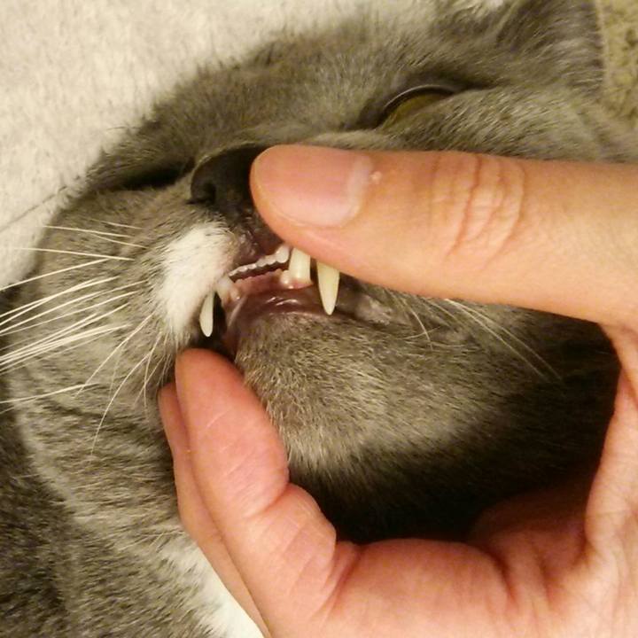 51343c58 9bf4 4691 9126 ae07a0c42d9d 1578037635684