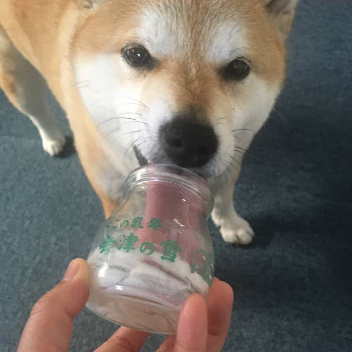 513477d4 b258 4eb4 9ec1 9324b35442a7 1584687667196