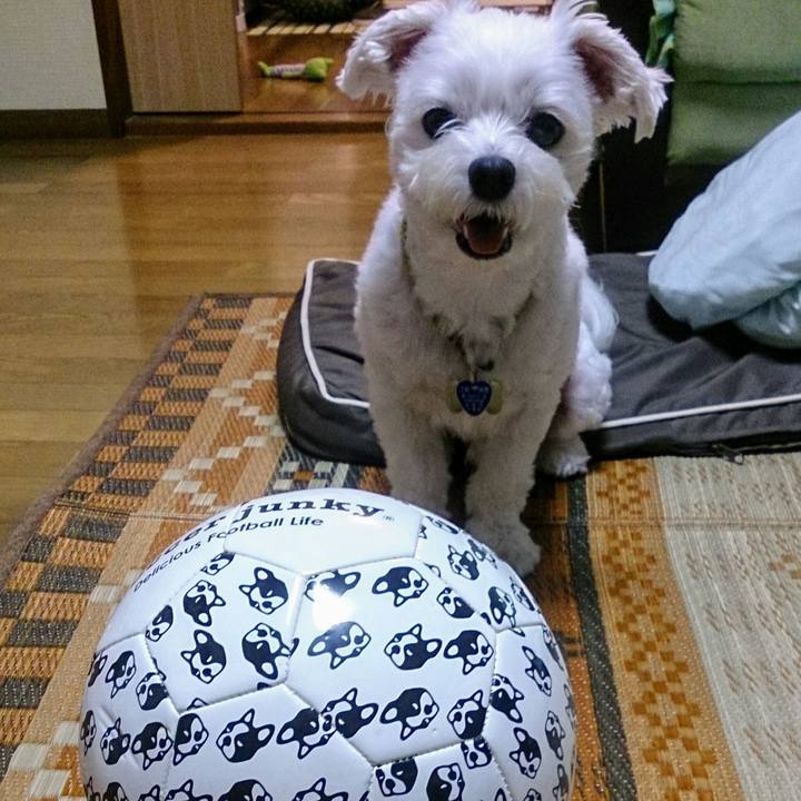 51348938 f9fb 4cab b3c4 6580732a2d48 1529409820040