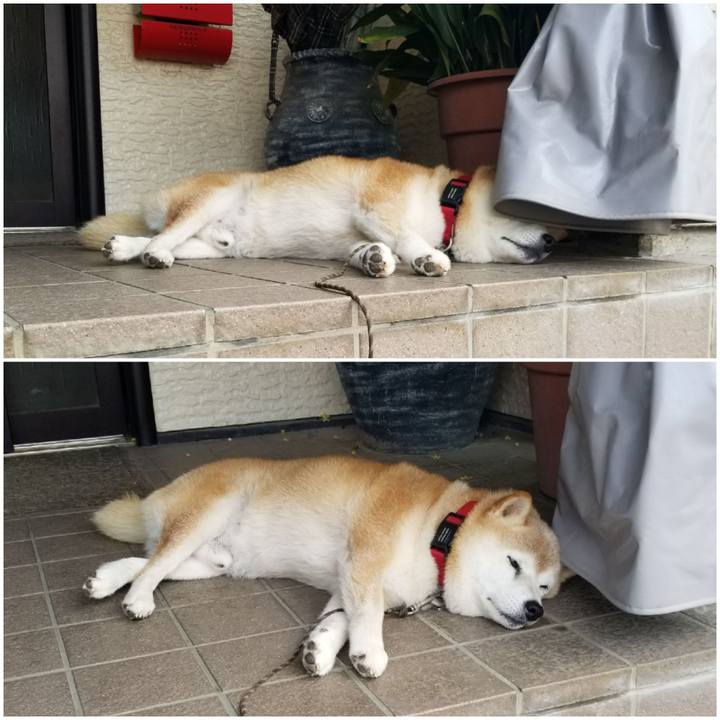 51348e5c e191 46f0 9a77 5fb5f06b5afc 1721868796383