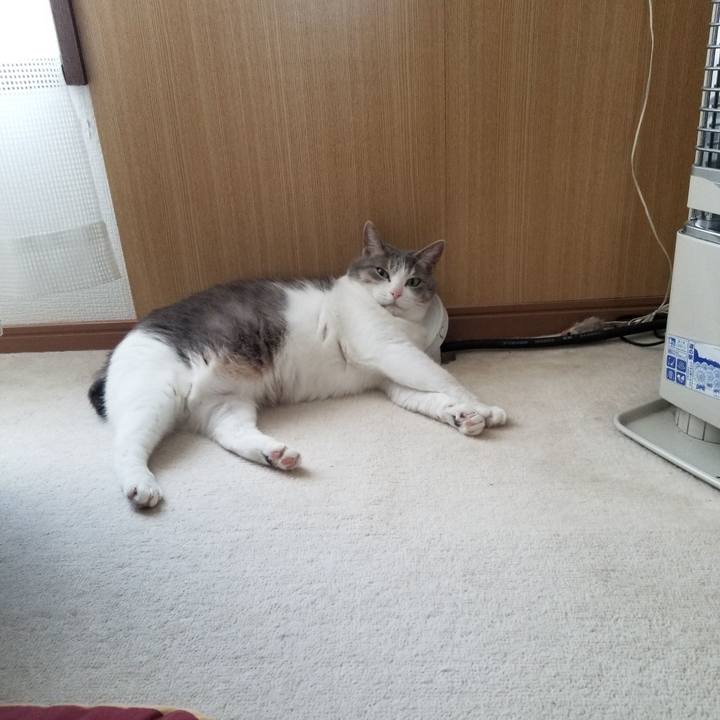 5134a548 5080 4c0e 83e3 fe5d759df6f7 1643284562465