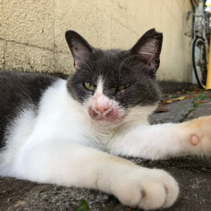 5134afa1 2c4d 48c9 86a7 40b2ba261c83 1633435921691