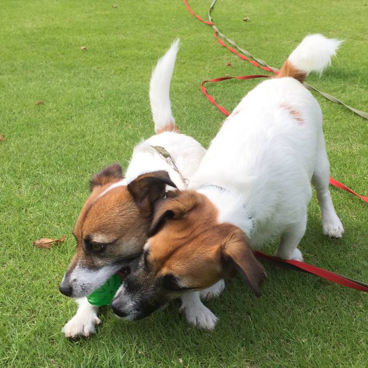 5134ba7c 073f 4aa3 8e25 af230e025831 1530322914425