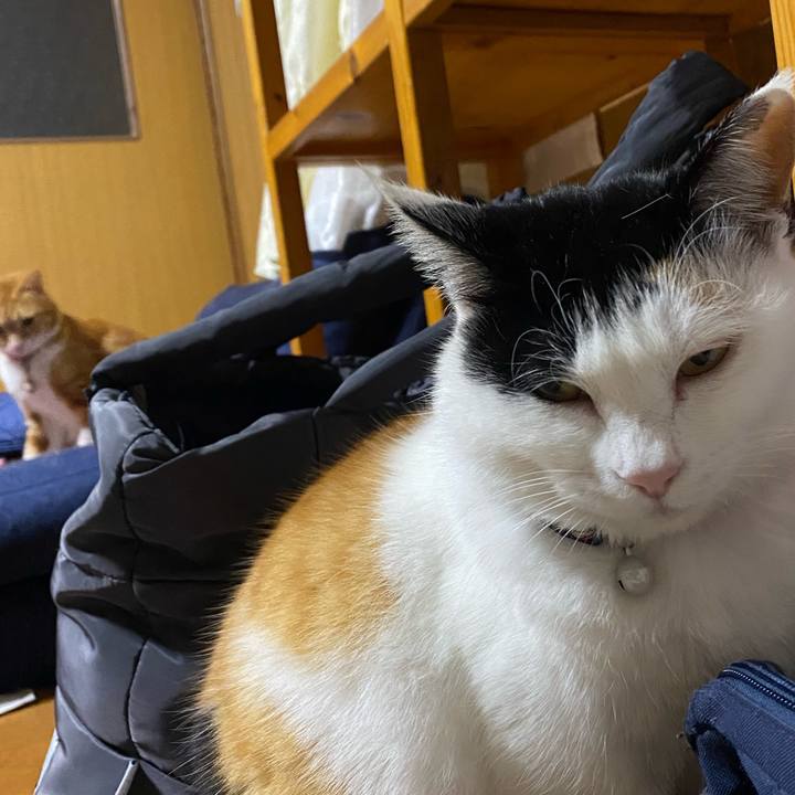 513560f9 4608 4279 8f29 dff2f808c403 1648675759144