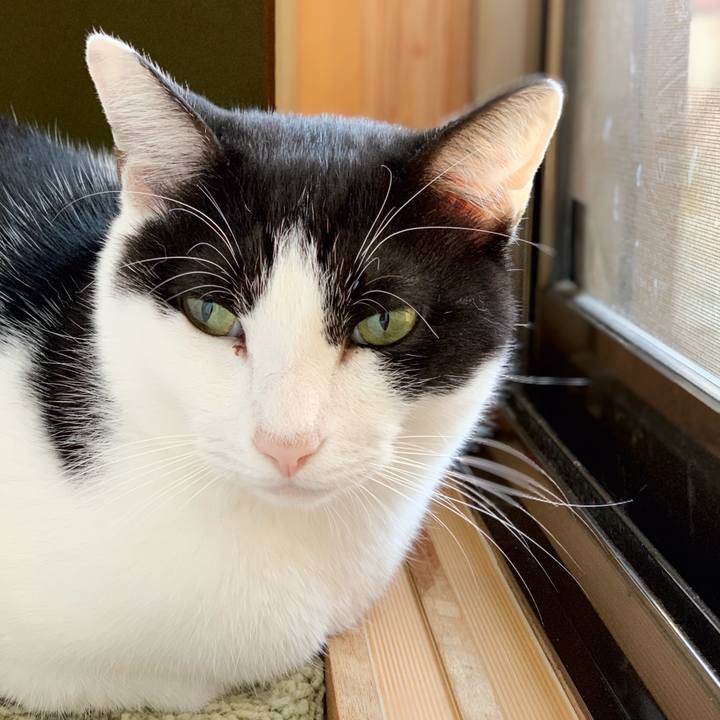 513574c6 56a6 4dd8 a613 f2fc5a081f24 1542423284136