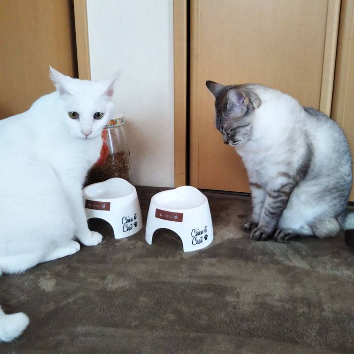 5135919c 40a4 45a6 8d59 5beec242e499 1557125075911