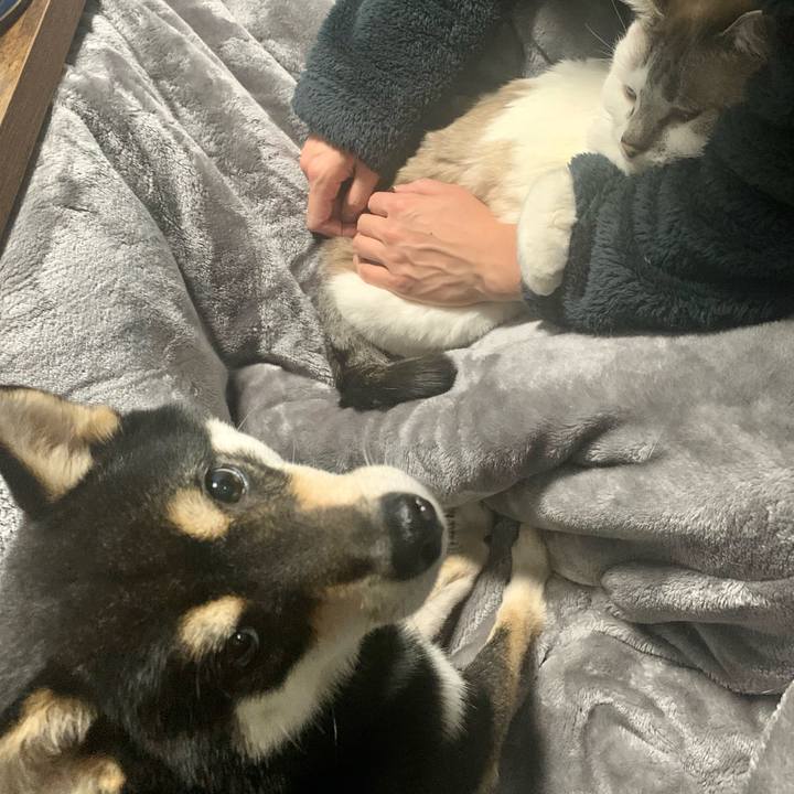 5135a221 8bb5 40c9 a736 959ae02989cf 1675763422626