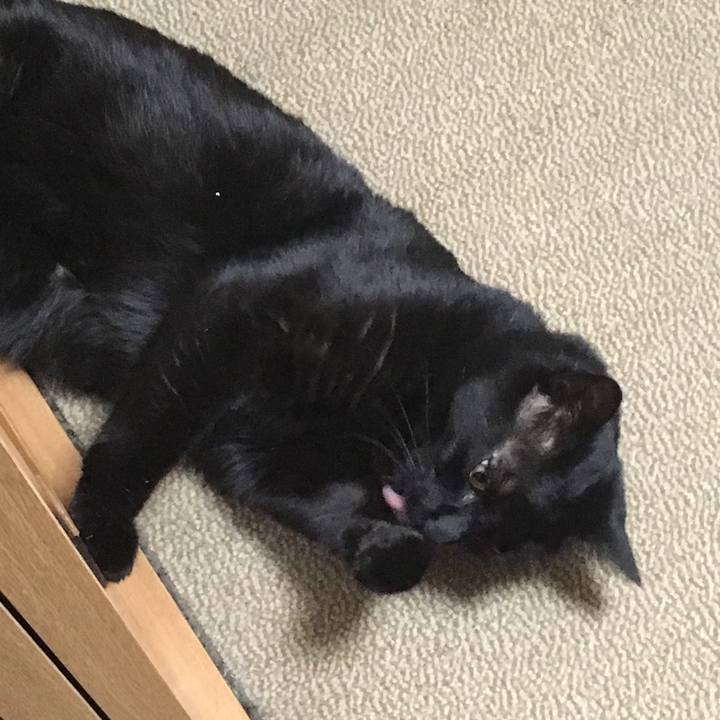 5135ac51 fb7b 43bf 9f55 85cca9e49299 1542690020254