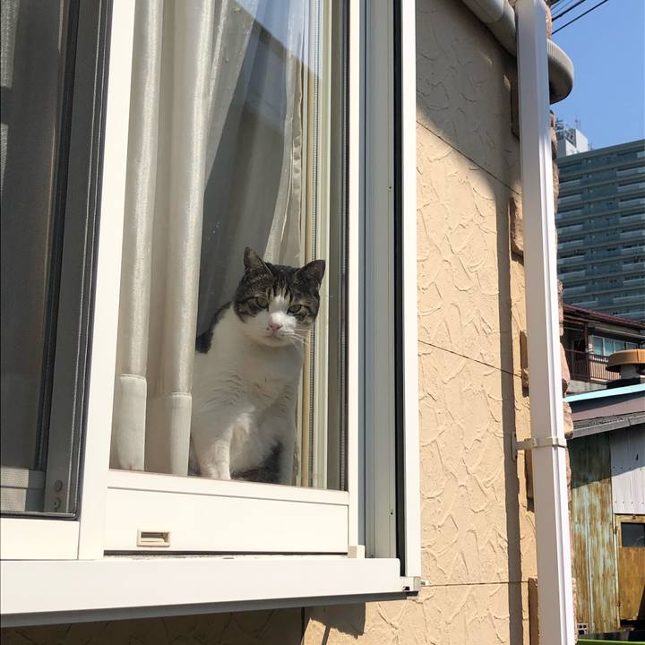 5135b5ce 86f1 4b4f 86d5 97e4c972b5ce 1584631307368