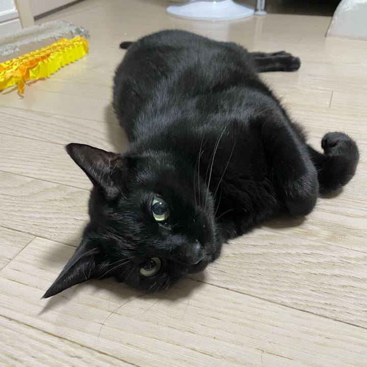 5135ef4e 813c 48b5 9de1 ad8da8040a80 1720793136781