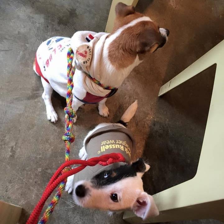 51362d72 da35 4e6a 93c2 d2a2fac8e1f8 1678187720362