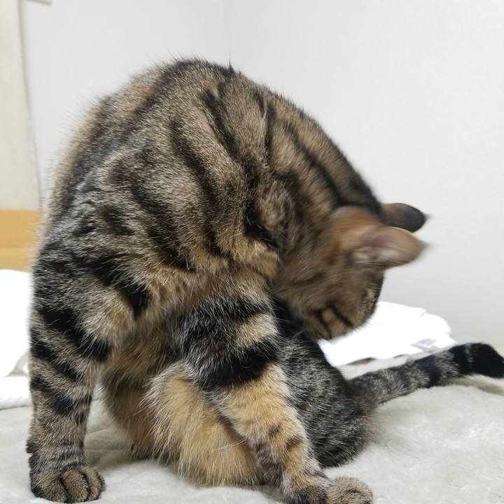 51364abc 9c16 4468 bbff b41e22e7bf04 1582579188602