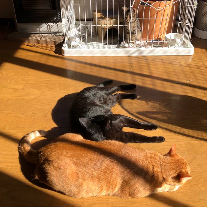 51364ec8 2b80 4529 a199 b5f9a8d481ab 1726443298909