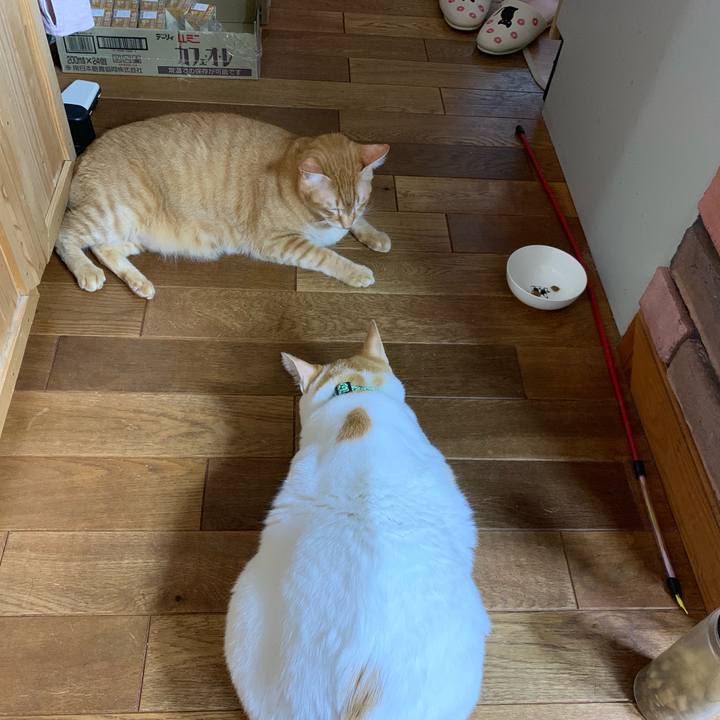 513664ae d5d4 4ec5 ab6d bd5d7ef10ee1 1566250727073