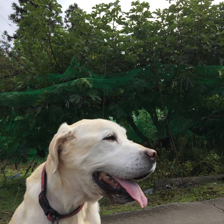 51368b99 3d79 472c a95b 33f80f28b883 1509503268688