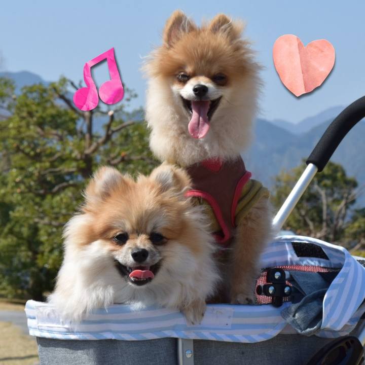 5136f459 9d29 487a 8a01 b29ddd338825 1521036678385