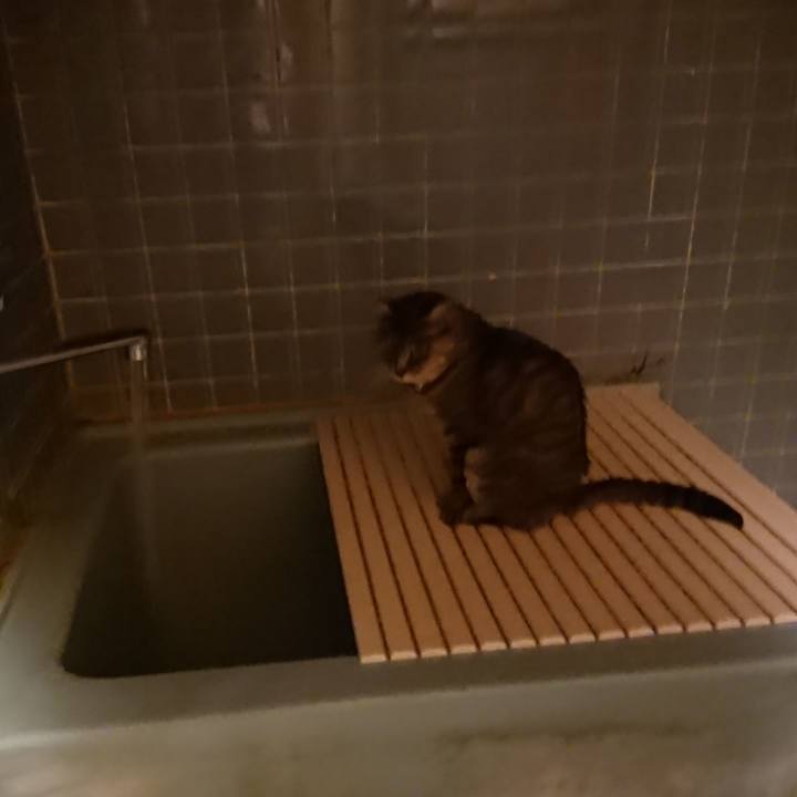 5136f846 1605 4042 b5c4 4e8ae9d6354b 1574844482665