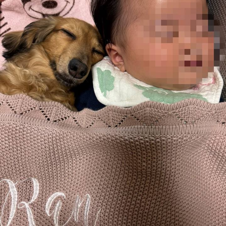 51371d0e 5261 44e3 96df 3d4cc0f2df5f 1749645621910