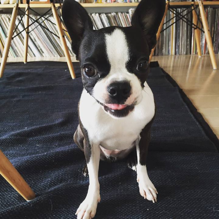 51372fd0 f05c 4588 873c 0a31ae1262af 1527744756726