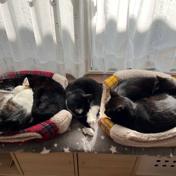 513791ac 0825 4b65 aed4 9b8fad6f4b26 1709528855545