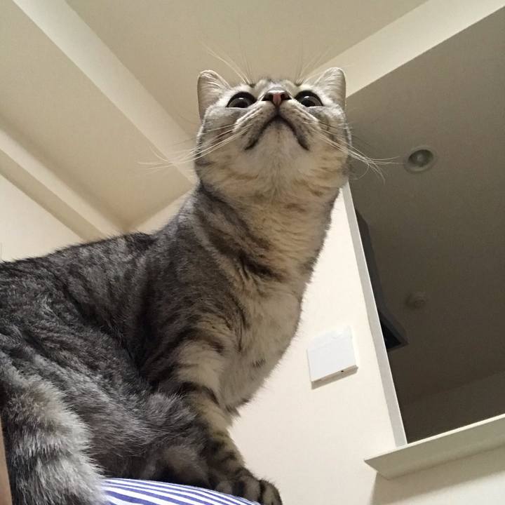 5137a6f0 6431 4fdf 9cbf 040929121a27 1549322092367