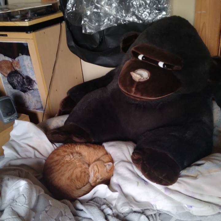 5137e860 12ed 4aa9 8490 8d2057fed9bb 1667343490015