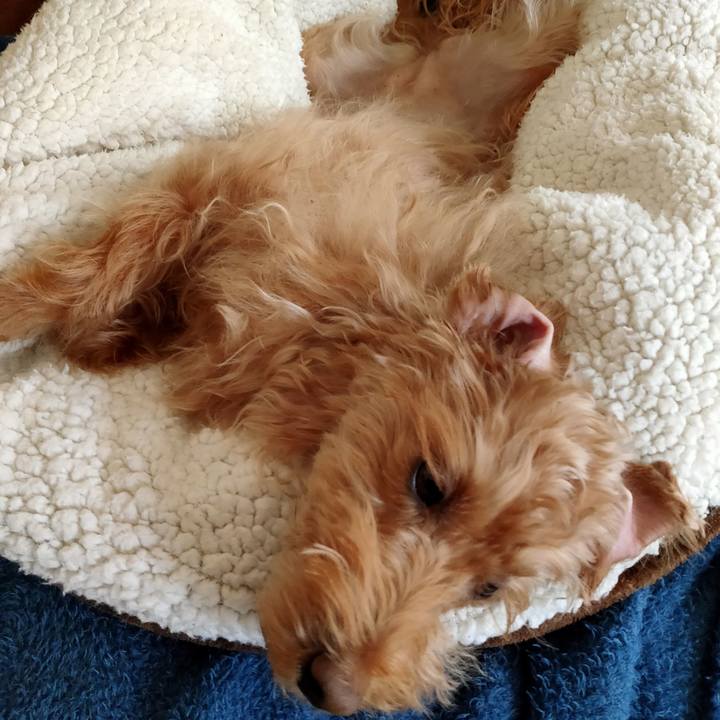 5137fe26 8ed0 4b48 9024 79fe15dde6ca 1608159111992