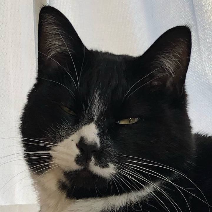 513811bd 08c2 47be 8099 100765b0f299 1648266066438