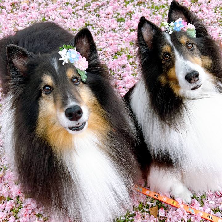 513827c9 4914 4c64 83ef bb62b9b9ba9a 1650994893797