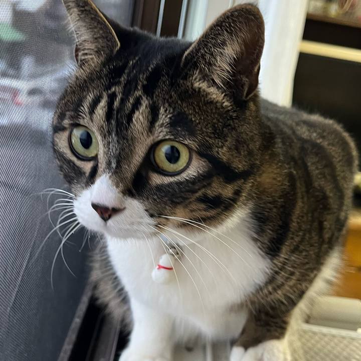 51382bfa 9408 4f48 8922 c80529e310c7 1770852401793