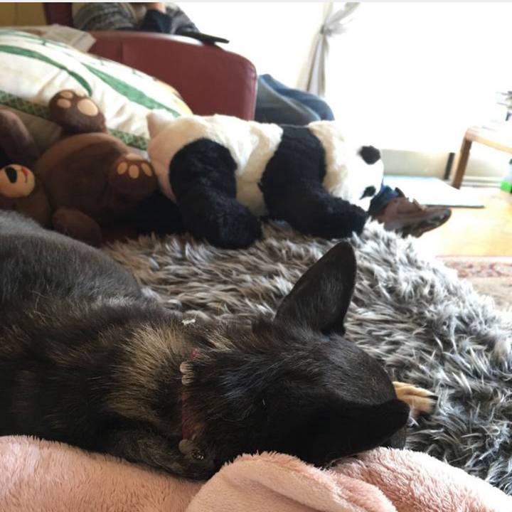 513833de 8faa 42a8 85ce d8e17ff1ee46 1761120297934