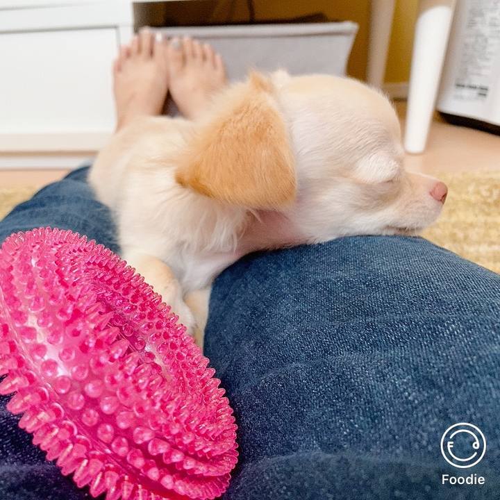 513851aa be3d 4f1b 8651 d40eda68f62f 1592293333877